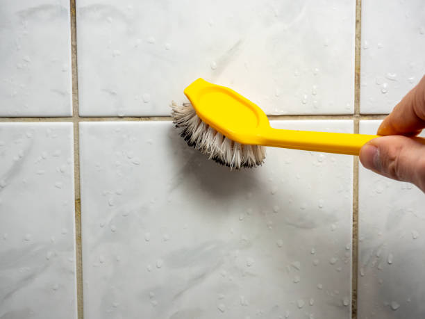 Best Mold Removal Near Me  in South Floral Park, NY