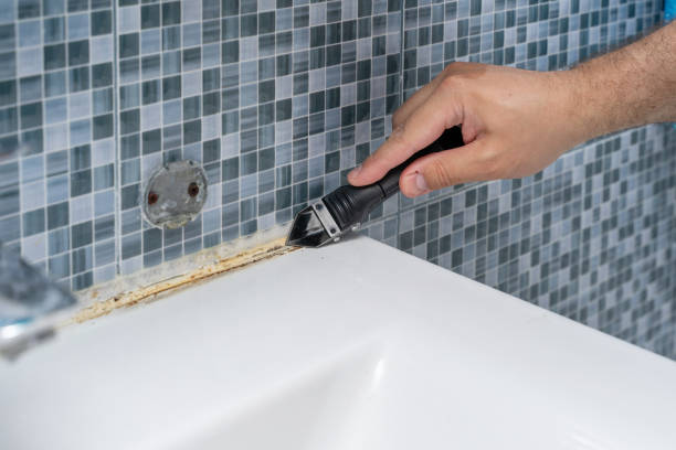 Best Mold Testing  in South Floral Park, NY